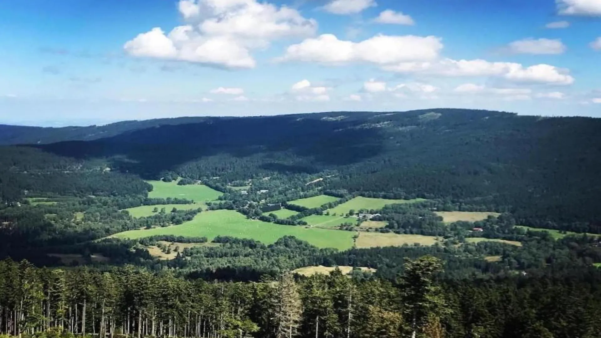 Holiday Home In The Bavarian Forest Schöfweg Almanya