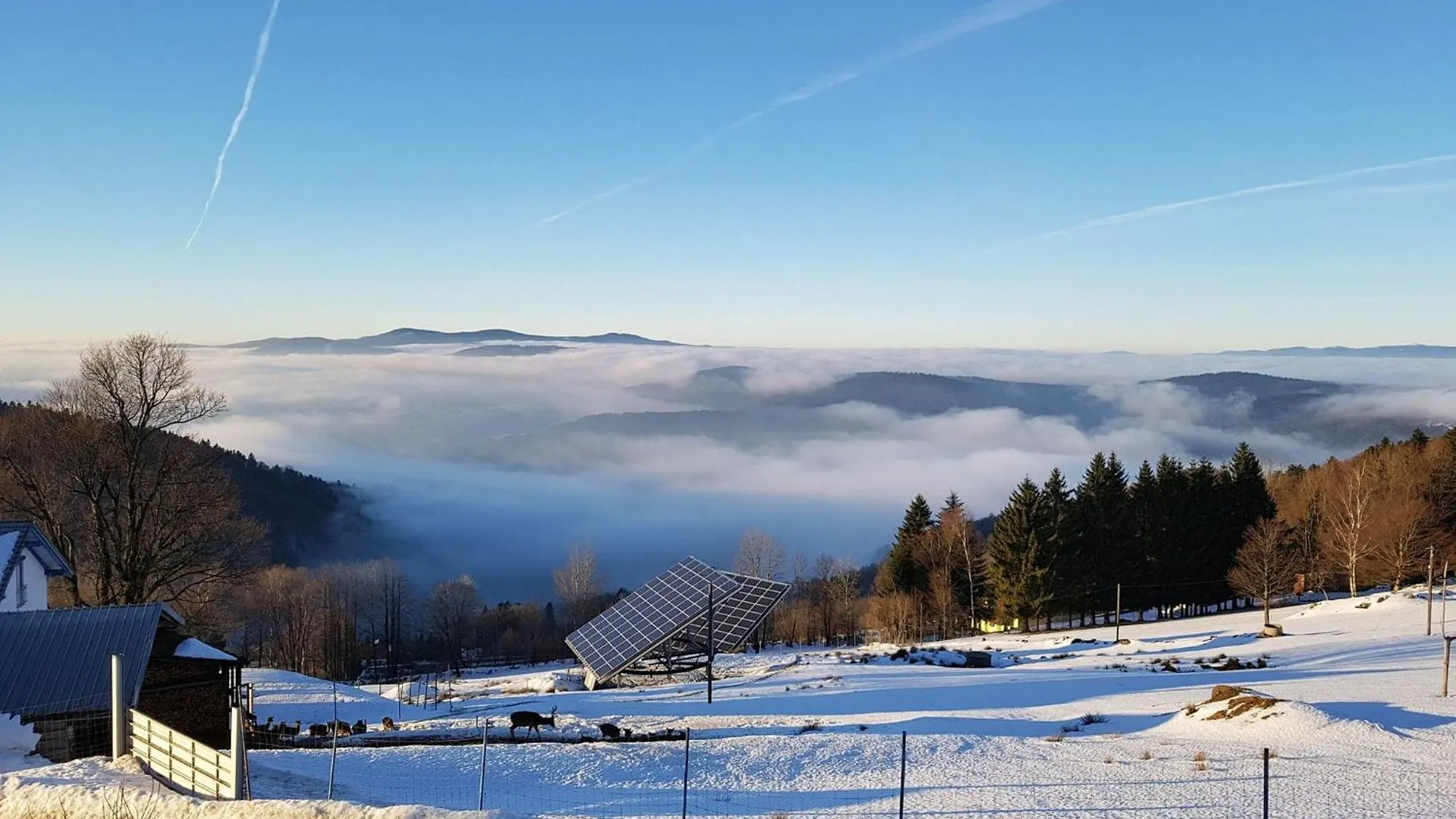 Holiday Home In The Bavarian Forest Schofweg Germany